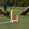agility 2011-10-30